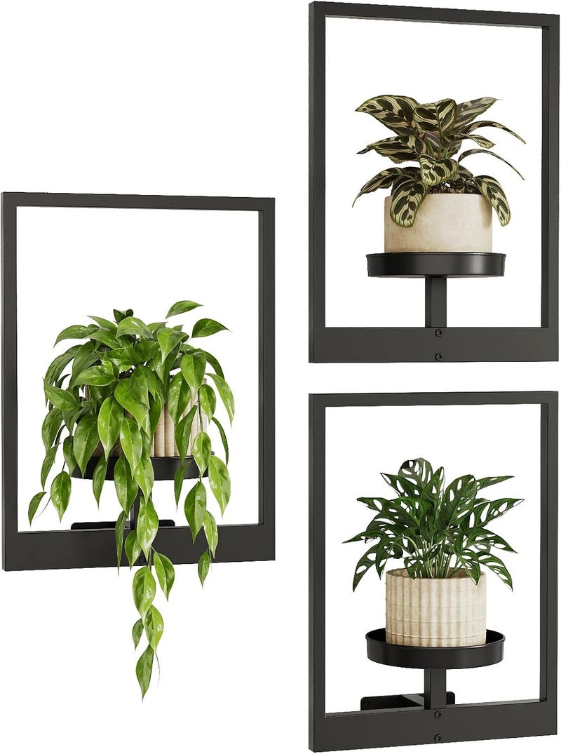 Bamworld Hanging Planters for Indoor Plants Wall Decor Living Room Plant Stand Indoor Wall Planters Plant Hanger Window Plant Shelves 3 Pack for Outdoor Entryway - Image 1